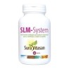 SLM SYSTEM